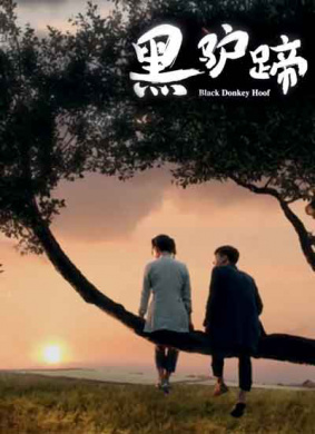 黑驴蹄