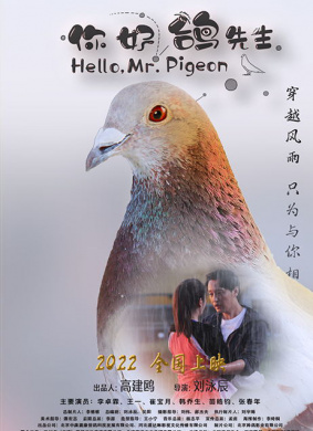 你好，鸽先生
