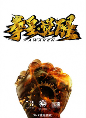 拳皇·觉醒The King of Fighters