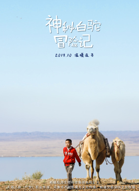 神秘白驼冒险记