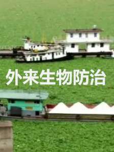 外来生物防治
