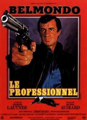 危情谍影The Professional