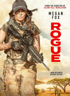 侠盗Rogue
