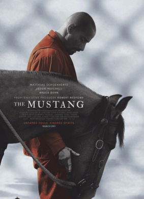 野马Mustang