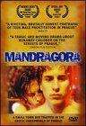 爱欲之果Mandragora