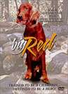大红Big Red