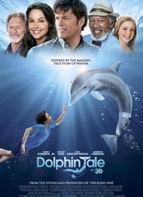 海豚的故事Dolphin Tale