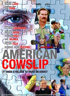 美国樱草American Cowslip