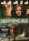 闪电臭虫Lightning Bug
