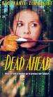 死亡之约Dead Ahead