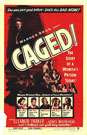 铁窗红泪Caged