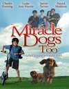 天降神犬Miracle Dogs Too