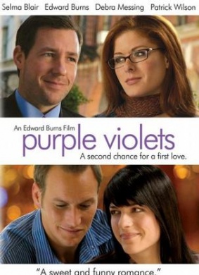 紫罗兰Purple Violets